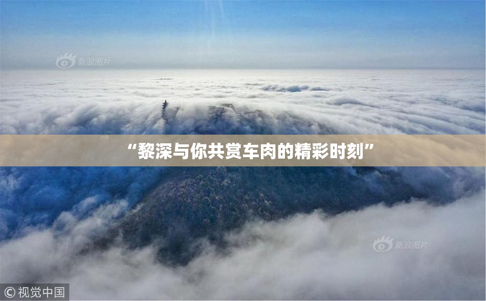 “黎深与你共赏车肉的精彩时刻”
