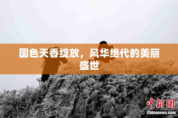 国色天香绽放，风华绝代的美丽盛世