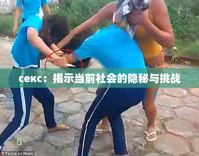 ceкс：揭示当前社会的隐秘与挑战