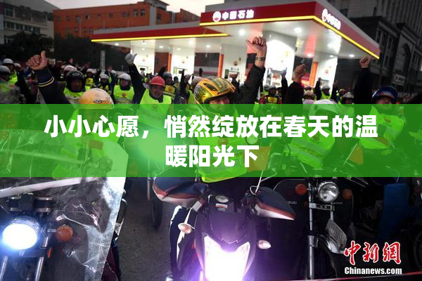 小小心愿，悄然绽放在春天的温暖阳光下