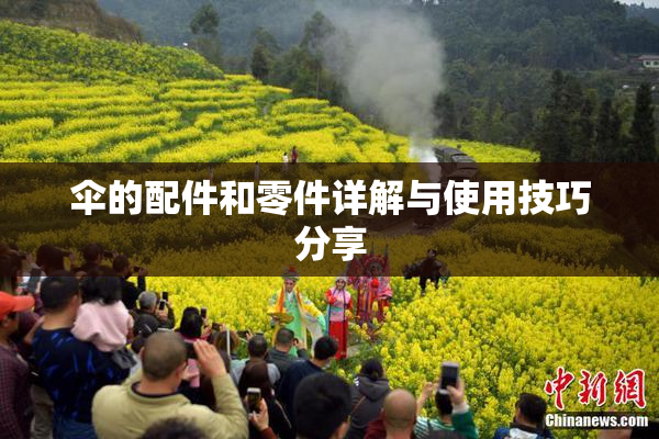 伞的配件和零件详解与使用技巧分享