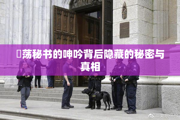 婬荡秘书的呻吟背后隐藏的秘密与真相