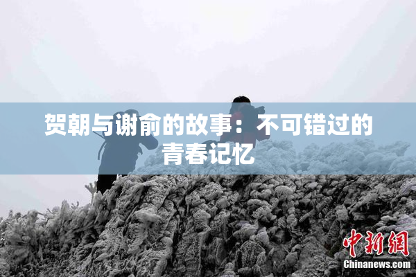 贺朝与谢俞的故事：不可错过的青春记忆
