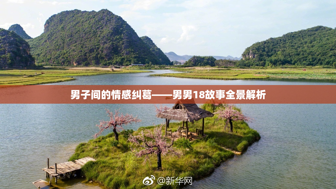 男子间的情感纠葛——男男18故事全景解析