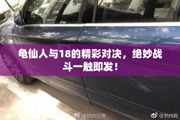 龟仙人与18的精彩对决，绝妙战斗一触即发！