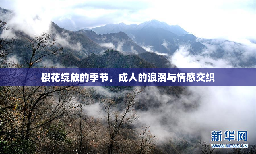 樱花绽放的季节，成人的浪漫与情感交织