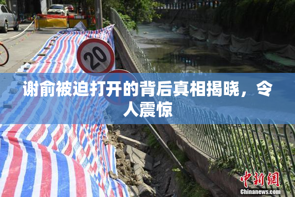 谢俞被迫打开的背后真相揭晓，令人震惊