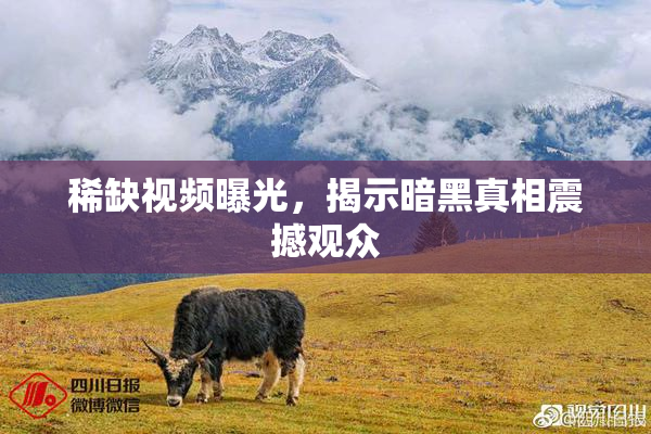 稀缺视频曝光，揭示暗黑真相震撼观众
