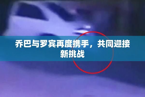 乔巴与罗宾再度携手，共同迎接新挑战