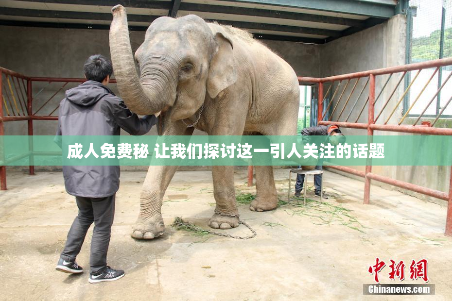 成人免费秘 让我们探讨这一引人关注的话题