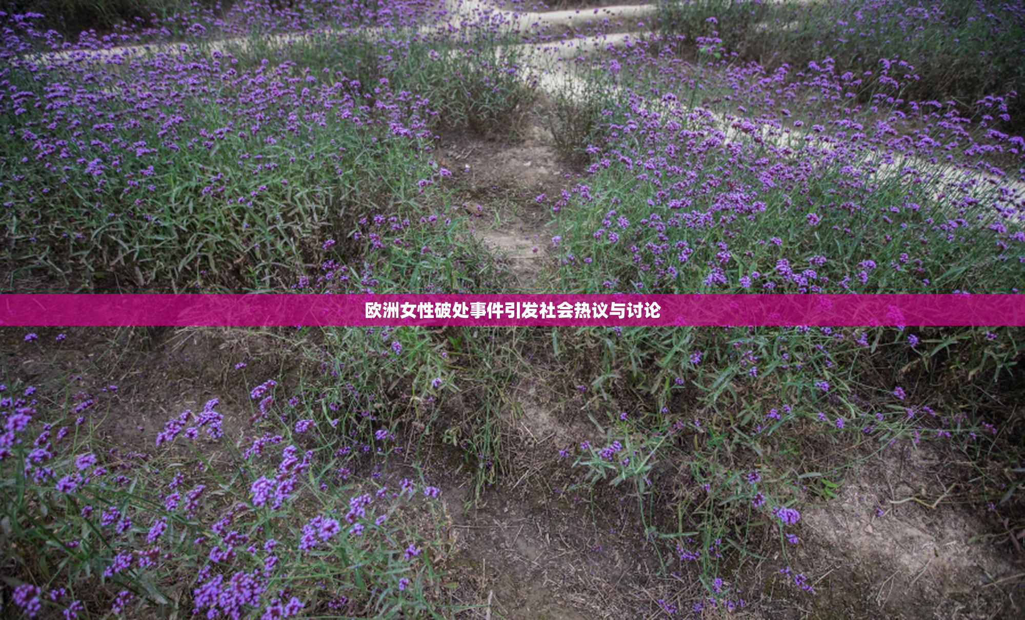 欧洲女性破处事件引发社会热议与讨论