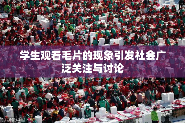学生观看毛片的现象引发社会广泛关注与讨论