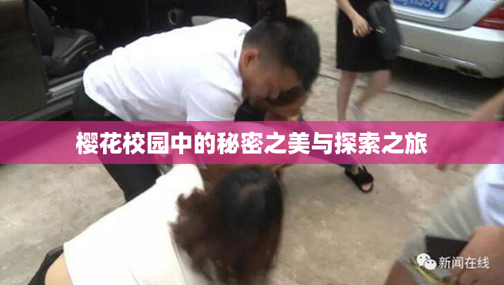 樱花校园中的秘密之美与探索之旅