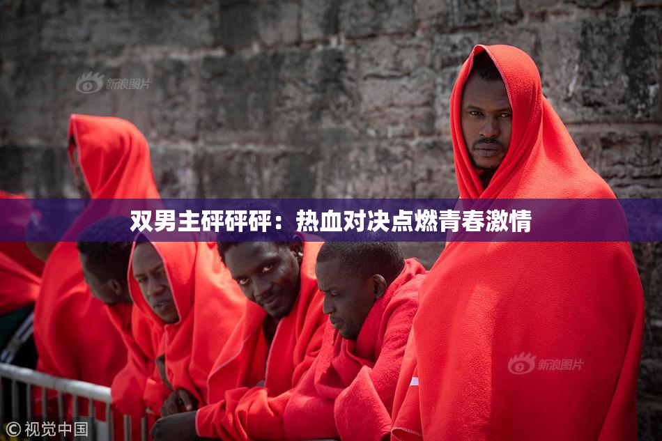 双男主砰砰砰：热血对决点燃青春激情