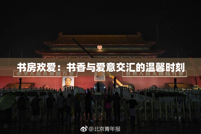 书房欢爱：书香与爱意交汇的温馨时刻