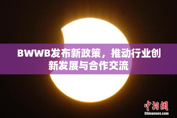 BWWB发布新政策，推动行业创新发展与合作交流