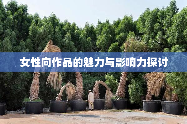 女性向作品的魅力与影响力探讨