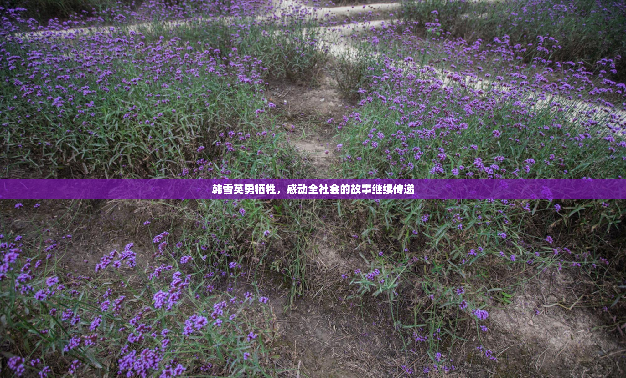 韩雪英勇牺牲，感动全社会的故事继续传递