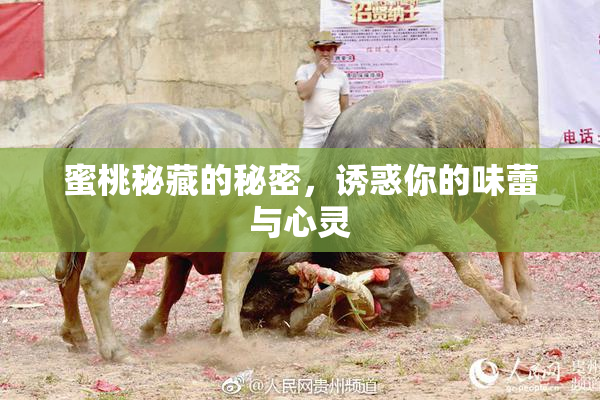 蜜桃秘藏的秘密，诱惑你的味蕾与心灵