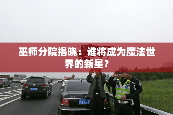 巫师分院揭晓：谁将成为魔法世界的新星？