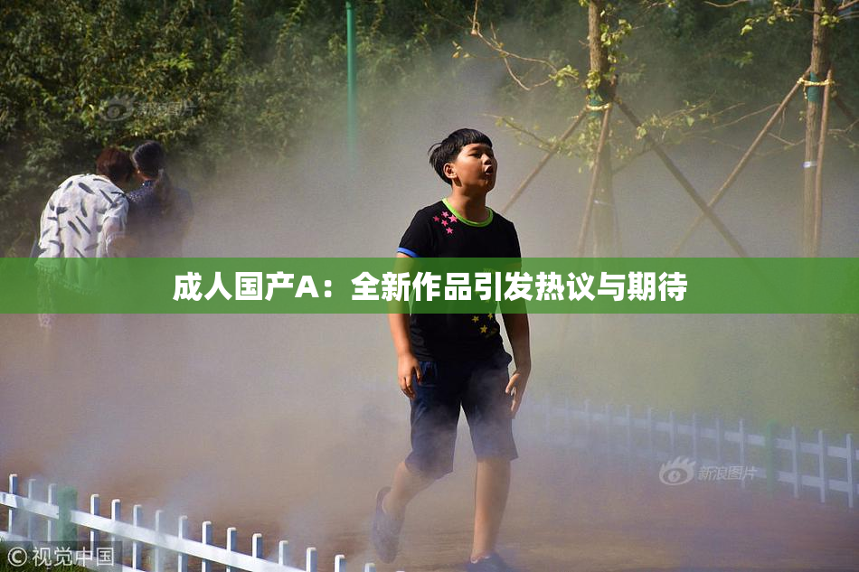 成人国产A：全新作品引发热议与期待