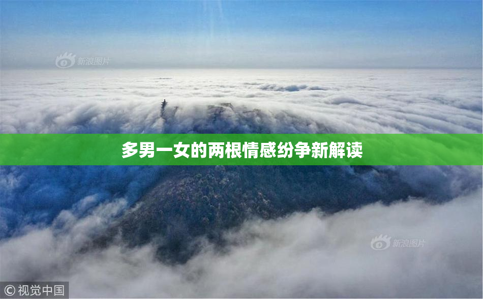 多男一女的两根情感纷争新解读