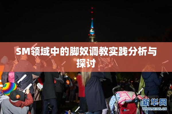 SM领域中的脚奴调教实践分析与探讨