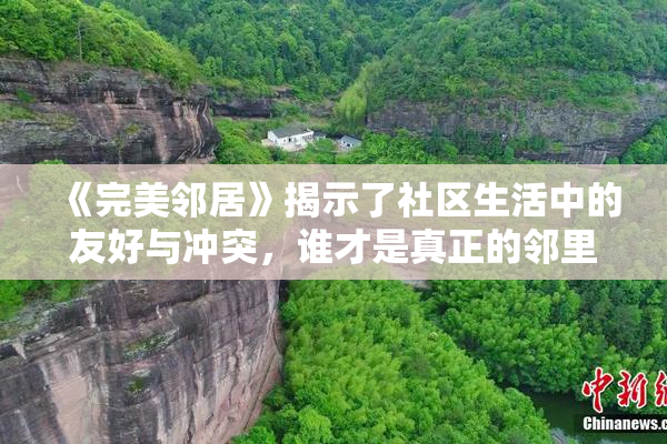 《完美邻居》揭示了社区生活中的友好与冲突，谁才是真正的邻里典范？