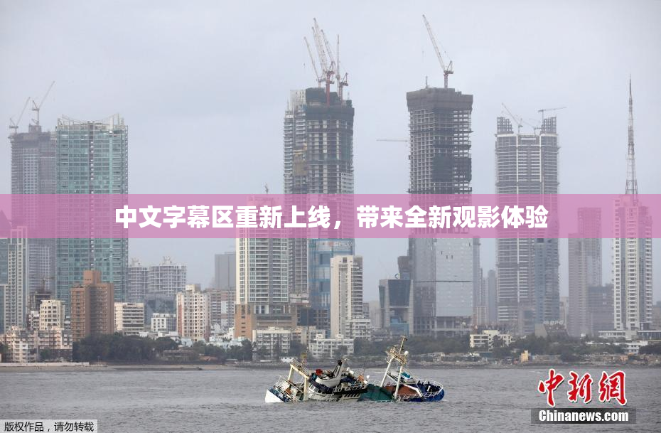中文字幕区重新上线，带来全新观影体验