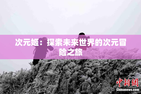 次元姬：探索未来世界的次元冒险之旅
