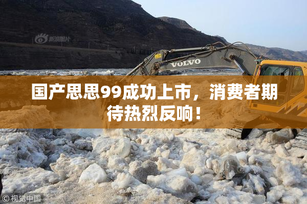 国产思思99成功上市，消费者期待热烈反响！