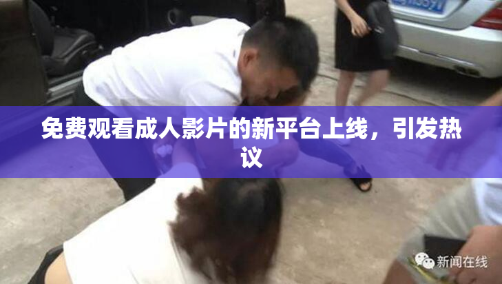 免费观看成人影片的新平台上线，引发热议