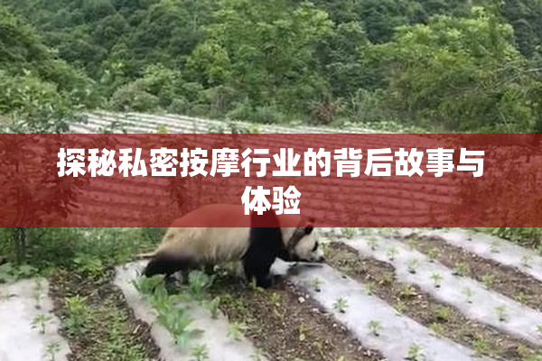 探秘私密按摩行业的背后故事与体验