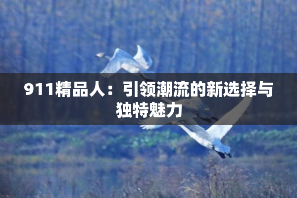 911精品人：引领潮流的新选择与独特魅力