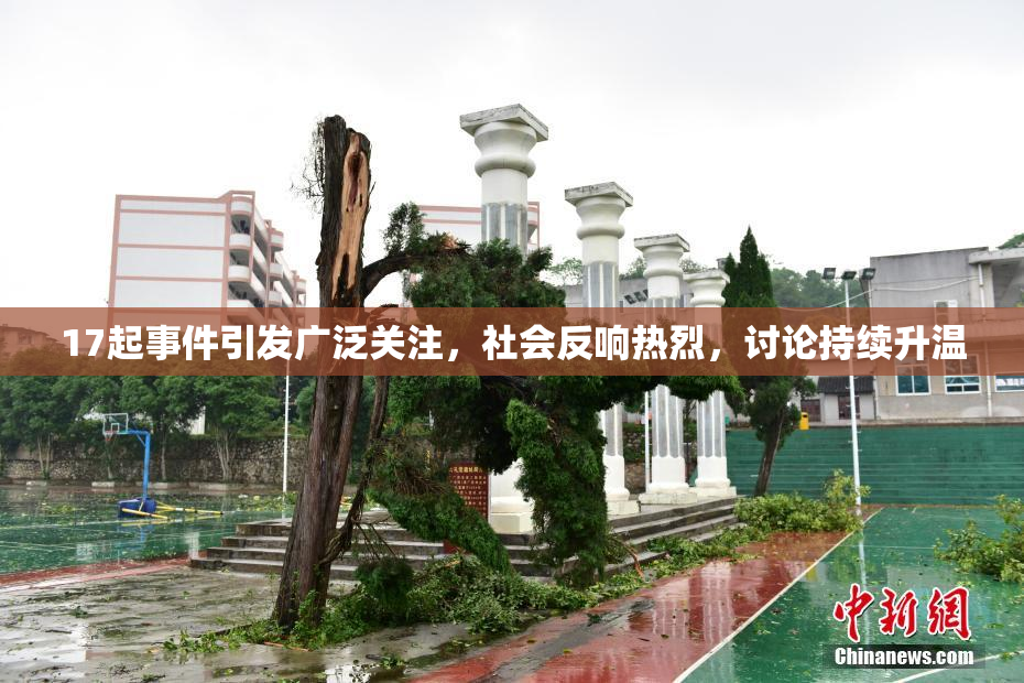 17起事件引发广泛关注，社会反响热烈，讨论持续升温