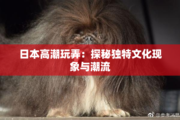 日本高潮玩弄：探秘独特文化现象与潮流
