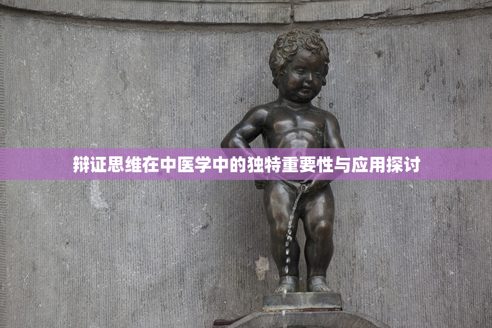 辩证思维在中医学中的独特重要性与应用探讨