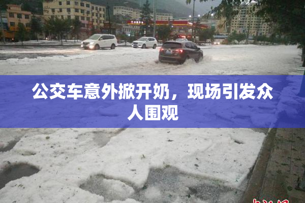 公交车意外掀开奶，现场引发众人围观
