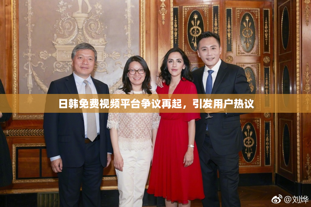 日韩免费视频平台争议再起，引发用户热议