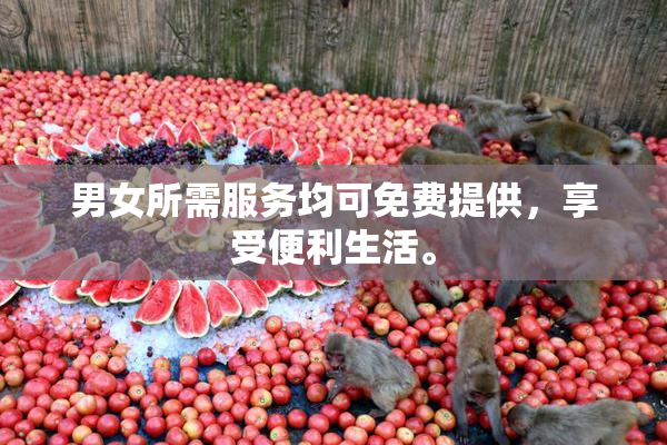 男女所需服务均可免费提供，享受便利生活。