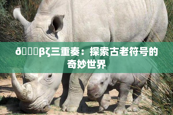 👙βζ三重奏：探索古老符号的奇妙世界