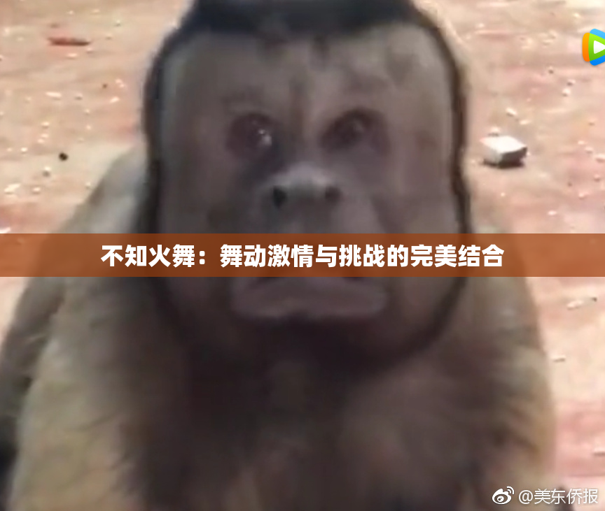 不知火舞：舞动激情与挑战的完美结合