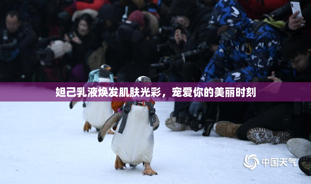 妲己乳液焕发肌肤光彩，宠爱你的美丽时刻