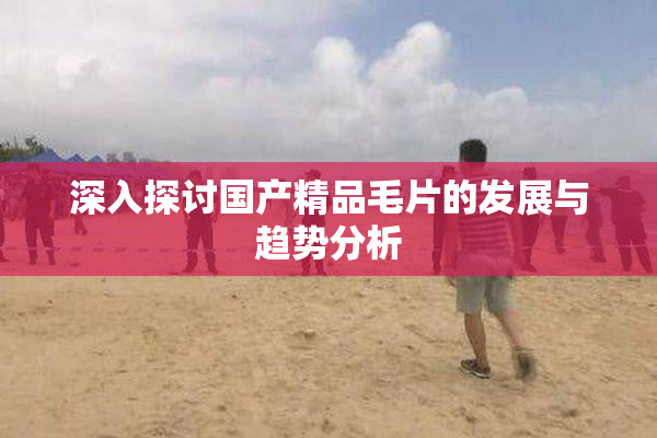 深入探讨国产精品毛片的发展与趋势分析