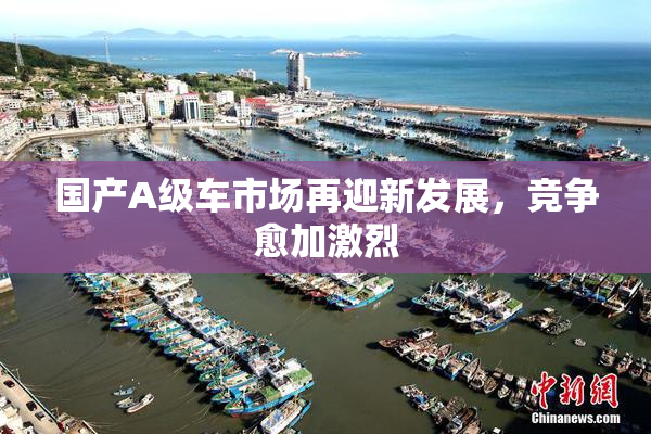 国产A级车市场再迎新发展，竞争愈加激烈