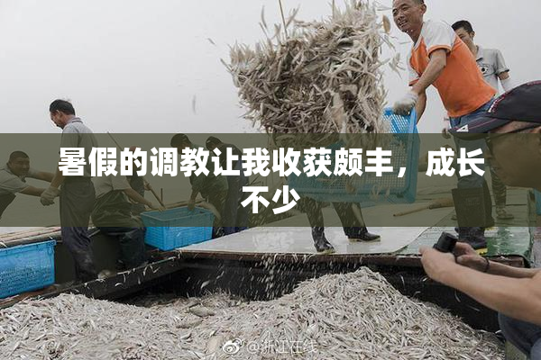 暑假的调教让我收获颇丰，成长不少