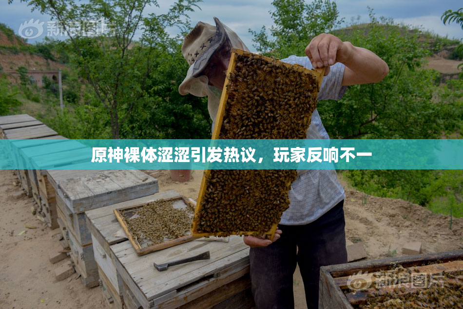 原神裸体涩涩引发热议，玩家反响不一