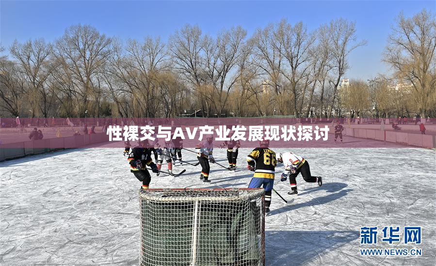 性裸交与AV产业发展现状探讨