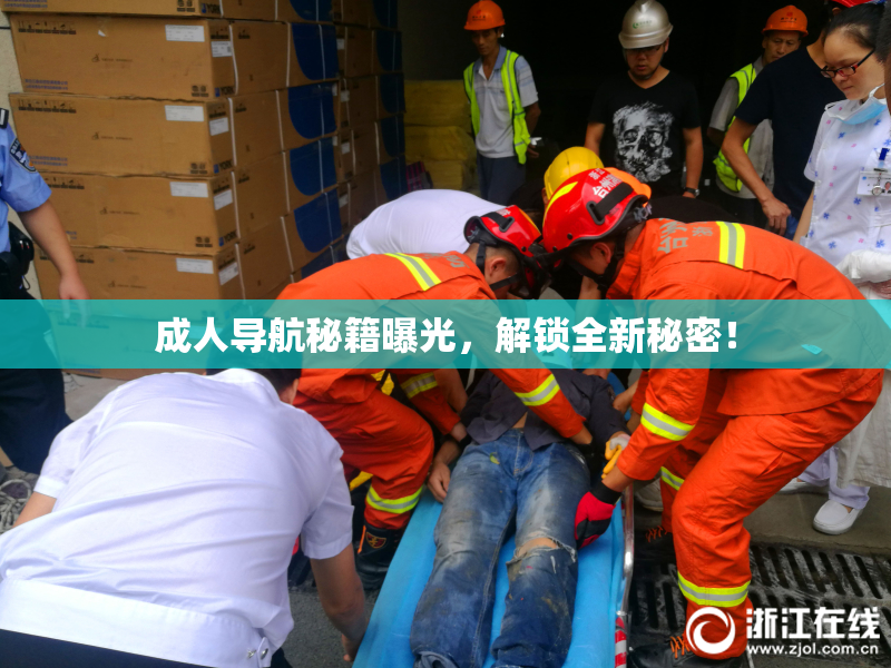 成人导航秘籍曝光，解锁全新秘密！