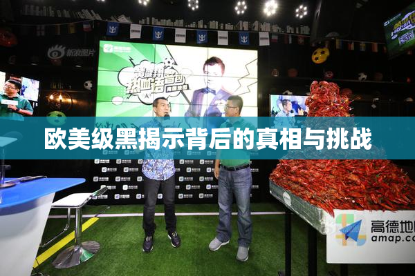 欧美级黑揭示背后的真相与挑战